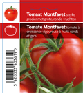 Tomate Montfavet (tray 12 pot)
